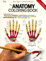 The Anatomy Coloring Book – Paperback By Kapit, Wynn – ACCEPTABLE