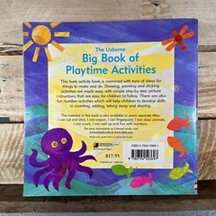 The Usborne Big Book of Playtime Activities by Ray Gibson (2003 Paperback)