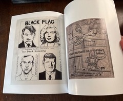 Black Flag The Flyer Art Of Raymond Pettibon Book Punk Hardcore Henry Rollins OG