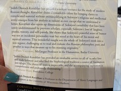 Divine Sophia: The Wisdom Writings of Vladimir Solovyov SC 2009 EUC