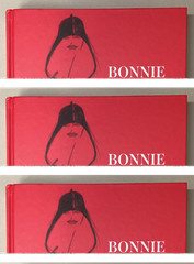 RARE Bonnie Cashin: Chic Is Where You Find It Dr. Stephanie Lake Hardcover Book
