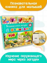Большая книга загадок с окошками