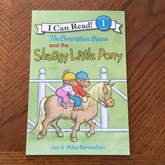 I Can Read Level 1 Ser.: The Berenstain Bears and the Shaggy Little Pony by Jan