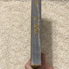 Myrtle Reed A Weaver of Dreams Hardcover G. P. Putnam’s Sons 1901 Fiction