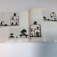 Kazuki Exhibition Bonsai Catalog 1980 84 Pots Japan Vintage 9.5×9.9in