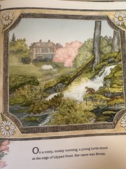 Mossy by Jan Brett Hardcover Book 2012