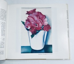 Georgia O Keeffe Art and Life Castro Book with 136 Color Illustrations Edition