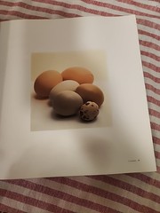The French Laundry Cookbook by Thomas Keller Hardcover