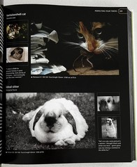 Digital Photography Masterclass by Tom Ang (Hardback, 2013)