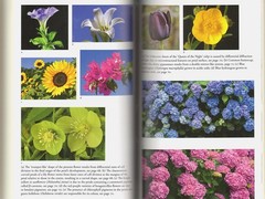 GOOD NATURE-How Plants Are Good For Health/by Willis/Forests/Parks/NEW/HB/DJ/Ill