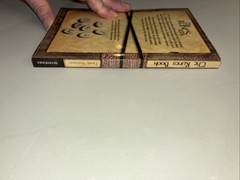 The Runes Book” by Horik Svensson Paperback 128 Pages