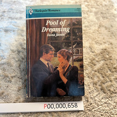 Pool Of Dreaming Romance Paperback Book by Dana James from Harlequin Books 1989