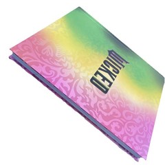 WICKED: The Official Visual Companion – by Universal Pictures Hardcover