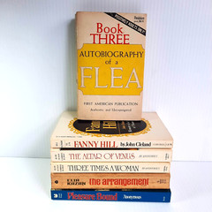 Vintage Pulp Erotica Lot of 6 Adult Paperbacks 60s & 80s, Fanny Hill, Flea