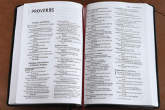 NIV, Thinline Bible, Large Print, Bonded Leather, Black, Red Letter, Comfort Pri