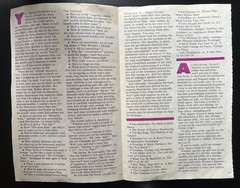 1976 Xaviera Hollander Supersex Promo WHORE Adult Advertising Insert / Scarce