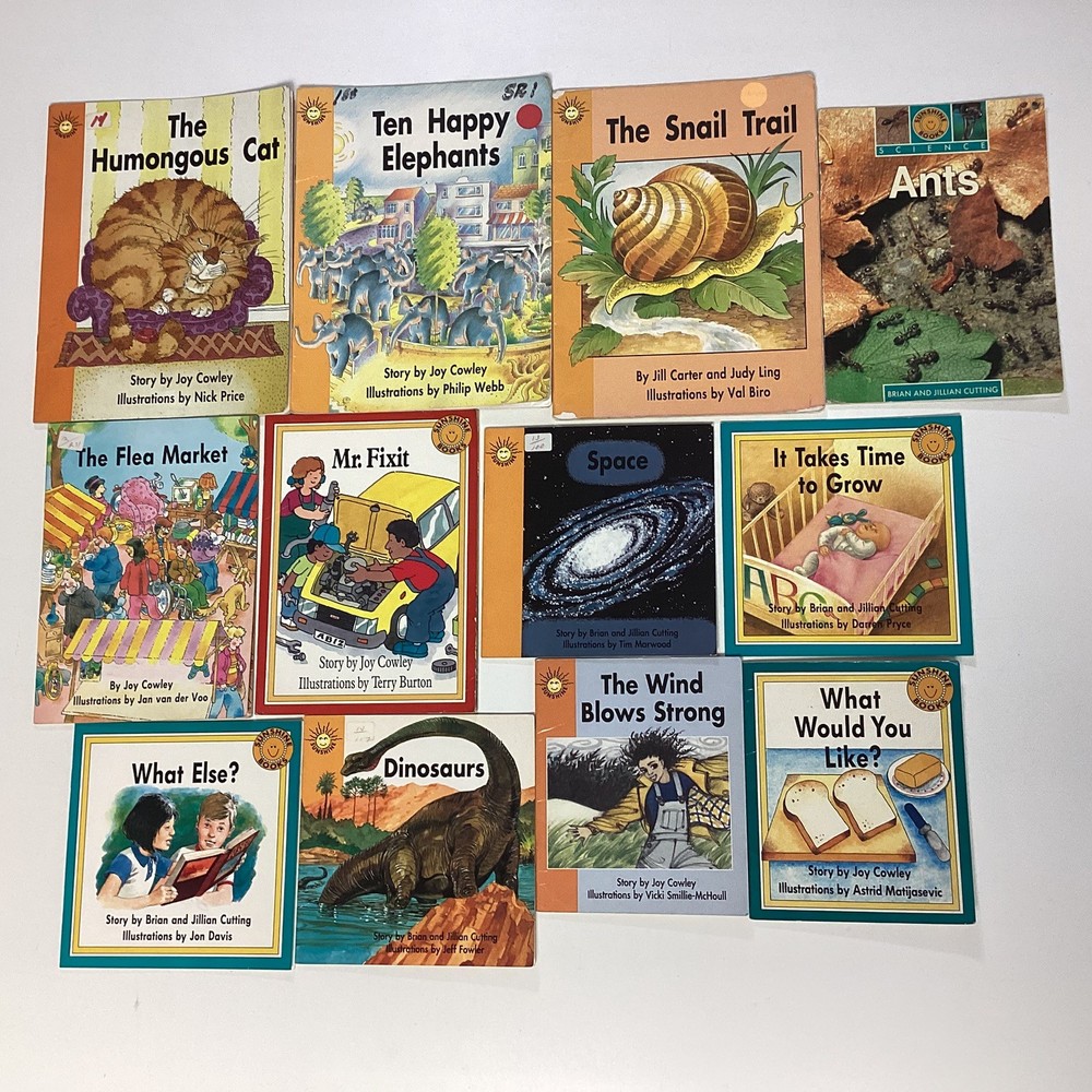 Sunshine Reader 1st Grade 12 Book Lot Level D-I Rigby Wright