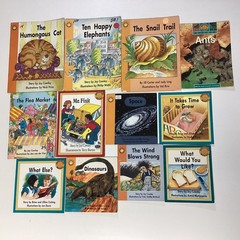 Sunshine Reader 1st Grade 12 Book Lot Level D-I Rigby Wright