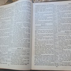 1901 HOLY BIBLE RED LETTER EDITION OLD AND NEW TESTAMENT LARGE TYPE U.S.A.