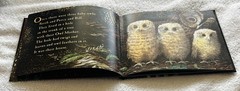 Owl🦉Babies📘Candlewick📀Storybook🥚Animations Book +DVD Martin Waddell FreeShip