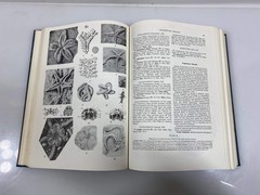 Index Fossils of North America by Shimer/Shrock 8th Print 1965 Ex-Library HC