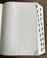 New The Companion Bible KJV 1611 Enlarged Type E. W. Bullinger Kregel Hardcover
