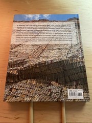 Anatsui : Art and Life by Susan M. Vogel (2021, Hardcover)