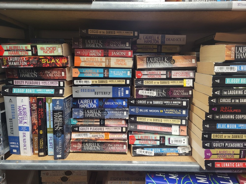 Anita Blake: Vampire Hunter by Laurell K. Hamilton – Choose Your Own Books Set