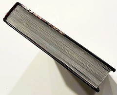 The Action Bible God’s Redemptive Story Sergio Cariello NEW Hardcover Print #16