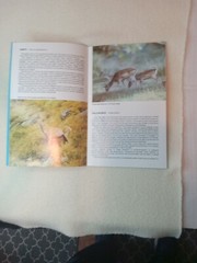 $3.45 – Discover New Zealand, booklet, Wild Animals of New Zealand