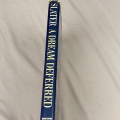 A Dream Deferred Philip Slater 1991 Hardcover DJ Beacon Press Democracy