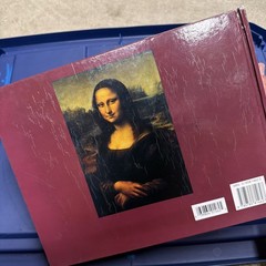 Leonardo Da Vinci by D. M. Field Multicolor Illustrated Hardcover Book