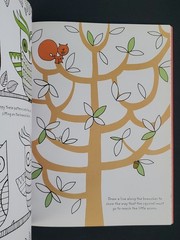 Lots of Things to Find and Color Fiona Watt Trade Paperback Usborne Activities