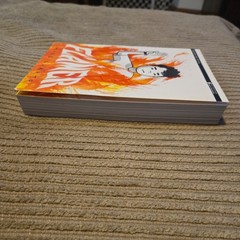 Flamer – Paperback By Curato, Mike – GOOD
