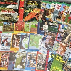 Educational Books Lot Of 50, Grades 2-3 Reading Levels Houston Mifflin