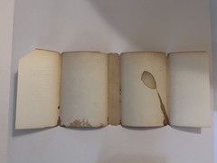 Superstar by Viva. G.P. Putnam’s Sons. First Edition. 1970