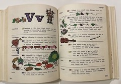 MY STORYBOOK DICTIONARY 349 Pages Hardcover VINTAGE 1974/1977 Grolier