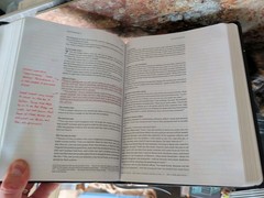 NLT BIBLE LOVER LOT J4: Includes several 1996c. Life Application Study, Journal