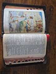 Holy Bible Self Pronouncing With the Words of Christ Printed in Red vintage