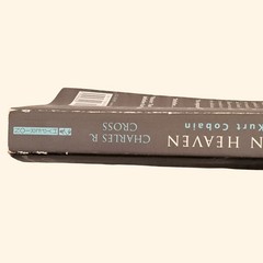 Kurt Cobain Nirvana Book Bundle Heavier Than Heaven The Chosen Rejects Paperback