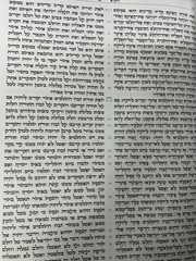 Tikun Korim Hamefoar, For Reading the Torah, Instructions & Laws in Hebrew