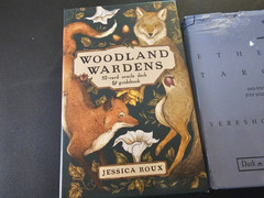 TAROT Card Lot of 3 Sets Woodland Wardens, Ether Ereschaka, Love Oracle