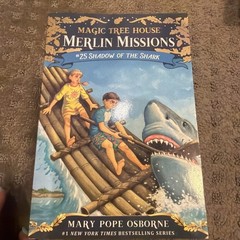 Lot of 14 Different Magic Tree House Merlin Missions Books by Mary Pope Osborne