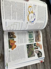 Campbell Biology: Concepts & Connections [RENTAL EDITION] (10th Edition) – VG