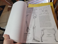 THE ANATOMY COLORING BOOK Kapit Medical Medicine Nurse Nursing Reference