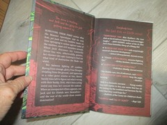 The Last Kids on Earth and the Midnight Blade by Brallier, Max; Holgate, Douglas