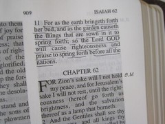 Jack Van Impe Prophecy Bible KJV Limited Special Edition Red Letter Ed. Burgandy