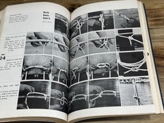 ✅THE BLUEJACKETS’ MANUAL ✅17th EDITION ✅By Naval Institute Press ✅1965 ✅Navy