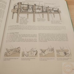 Back to Basics Book Traditional Skills Buying/Working Land Livestock Energy
