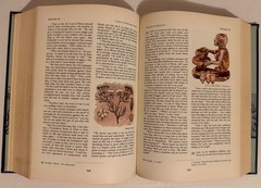 The Living Bible Holman Illustrated Edition -Paraphrased 1973 Tyndale Color pics